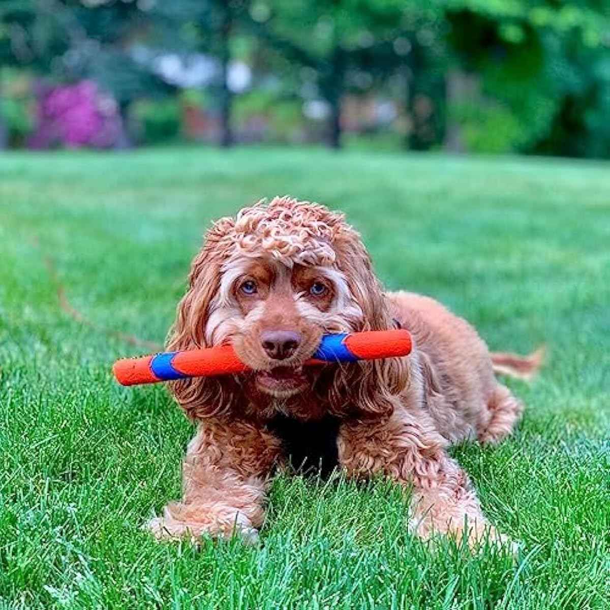 Chuckit! Interactive Dog Toy Ultra Fetch Stick - 12 Inch Outdoor Dog Toy for All Breed Sizes
