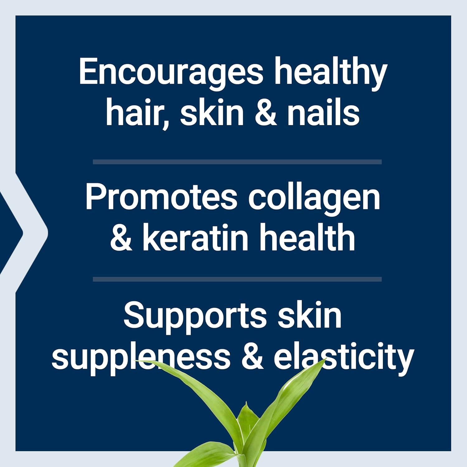 Life Extension Hair, Skin, & Nails- Collagen TLus, 120 Count