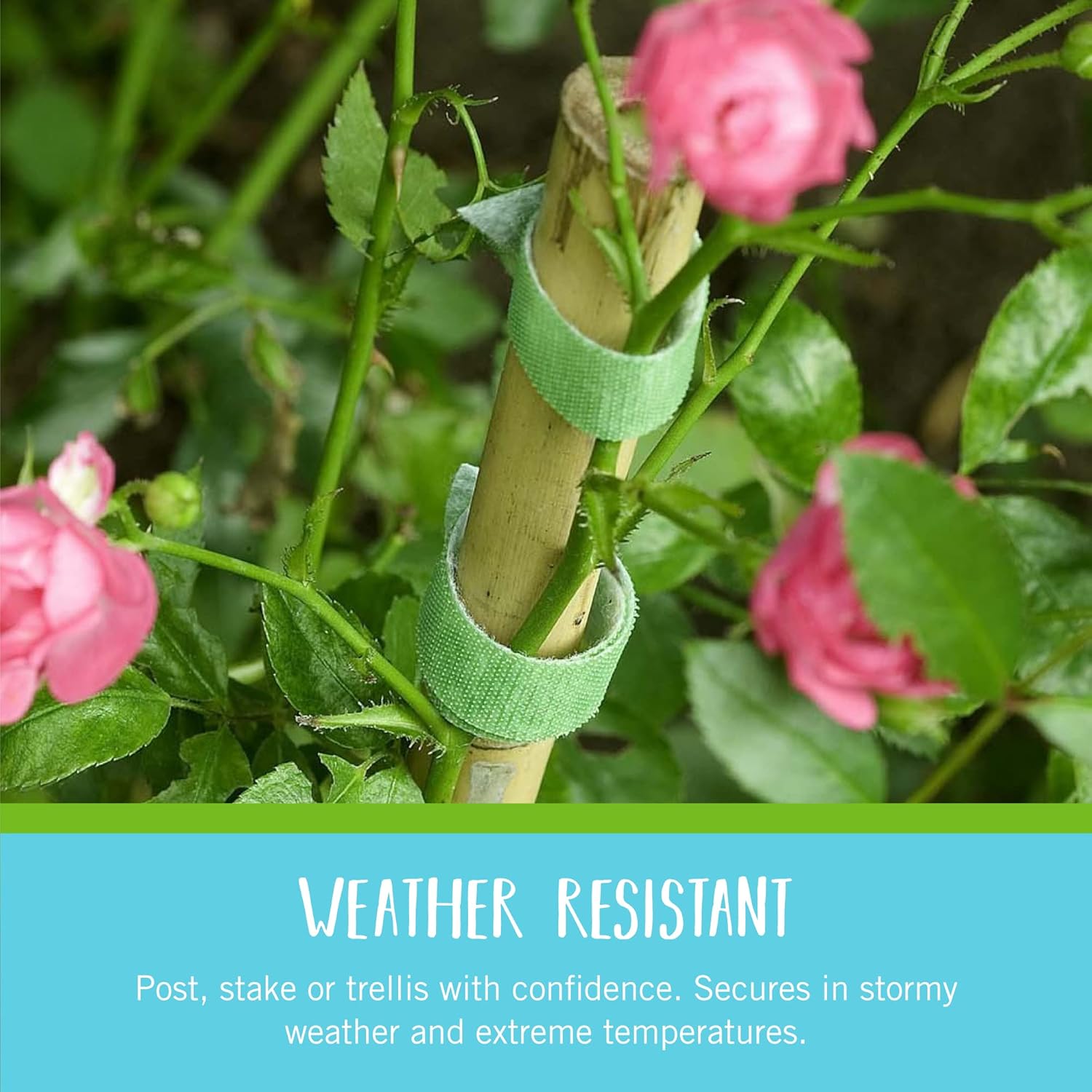 VELCRO Brand VEL-30071-USA ONE-WRAP Garden Ties | TLant Supports for Effective Growing | Strong Grips are Reusable and Adjustable | Cut-to-Length, 50 ft x 1/2 in, Green-Recycled TLastic