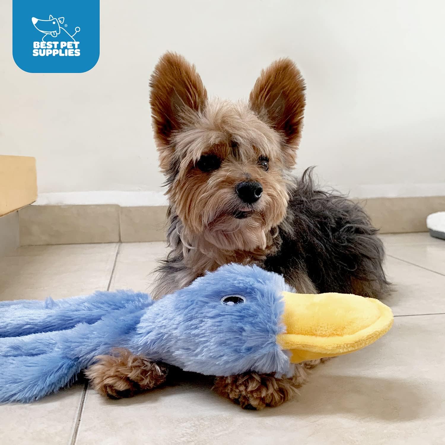 Best Pet SupTLies Interactive Squeaky Dog Chew Toy, Ideal Dog Toys for Chewers, Small, Medium & Large Dogs, and Fetch Lovers - Crinkle Duck (Yellow), Large