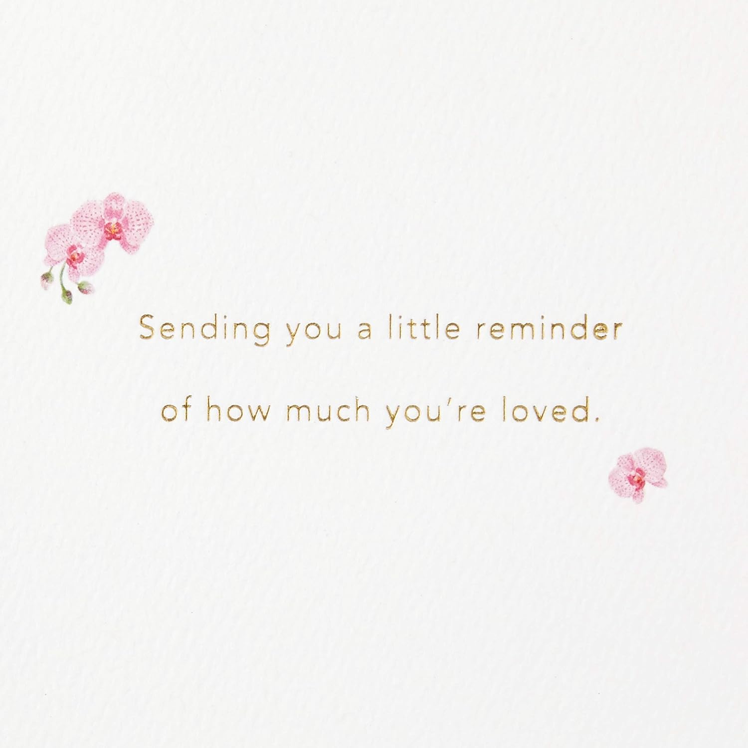 Hallmark Signature Mother's Day Card (Little Reminder)