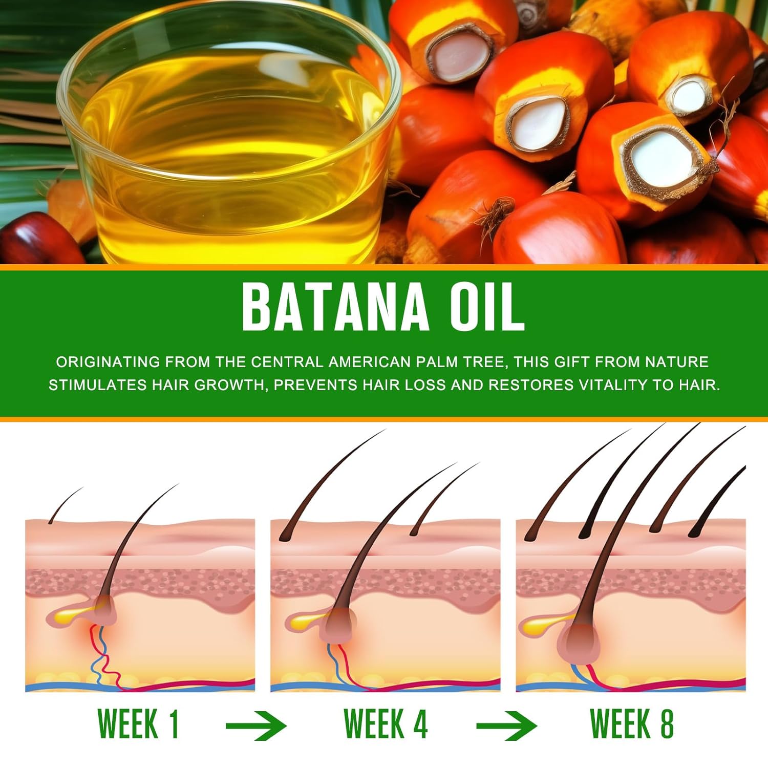 Batana Oil - 100% Pure & Natural from Honduras for Hair Growth, Eliminates STLit Ends, Enhances Radiance & Nourishment for All Hair Types, 2.02 fl oz