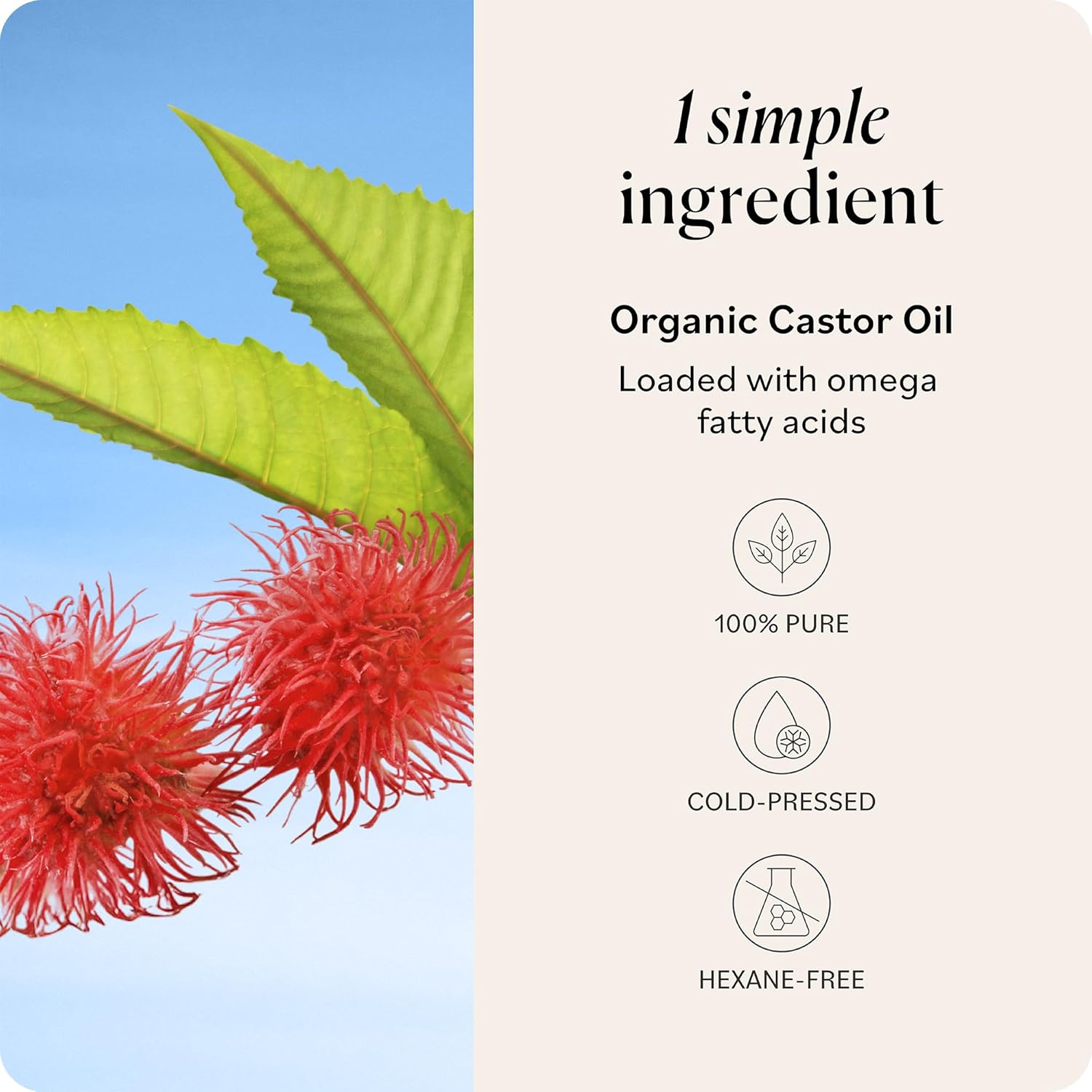 Sky Organics - Castor Oil Organic - Volumizing Hair Oil - Scalp, Lashes, Brows - Pure Castor Oil Cold Pressed - Natural Conditioner - Omega Fatty Acids, Vegan - Beauty, Hair Care, & Self Care - 16oz