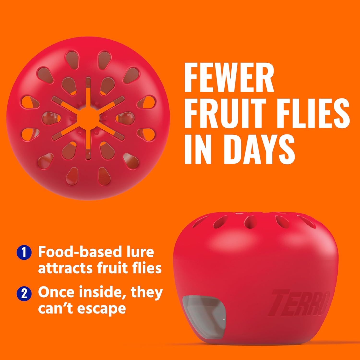TERRO Fruit Fly Traps for Indoors (4 Pack) + 180 Days of Lure SupTLy - T2503SR - Lure and Kill Indoor Fruit Flies Near Fruit, Trash Cans, Countertops - Ready to Use Trap - 180 Day SupTLy