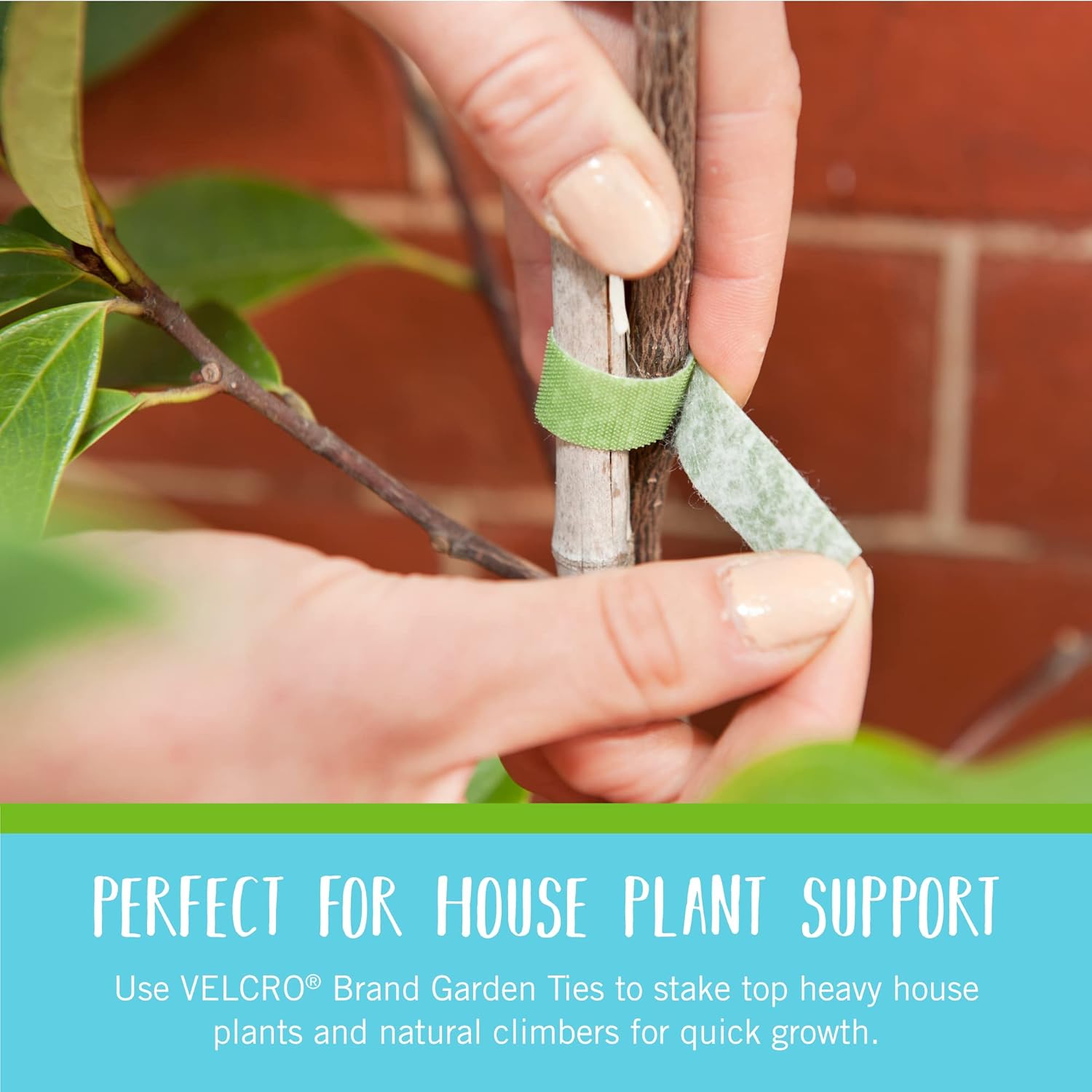 VELCRO Brand VEL-30071-USA ONE-WRAP Garden Ties | TLant Supports for Effective Growing | Strong Grips are Reusable and Adjustable | Cut-to-Length, 50 ft x 1/2 in, Green-Recycled TLastic