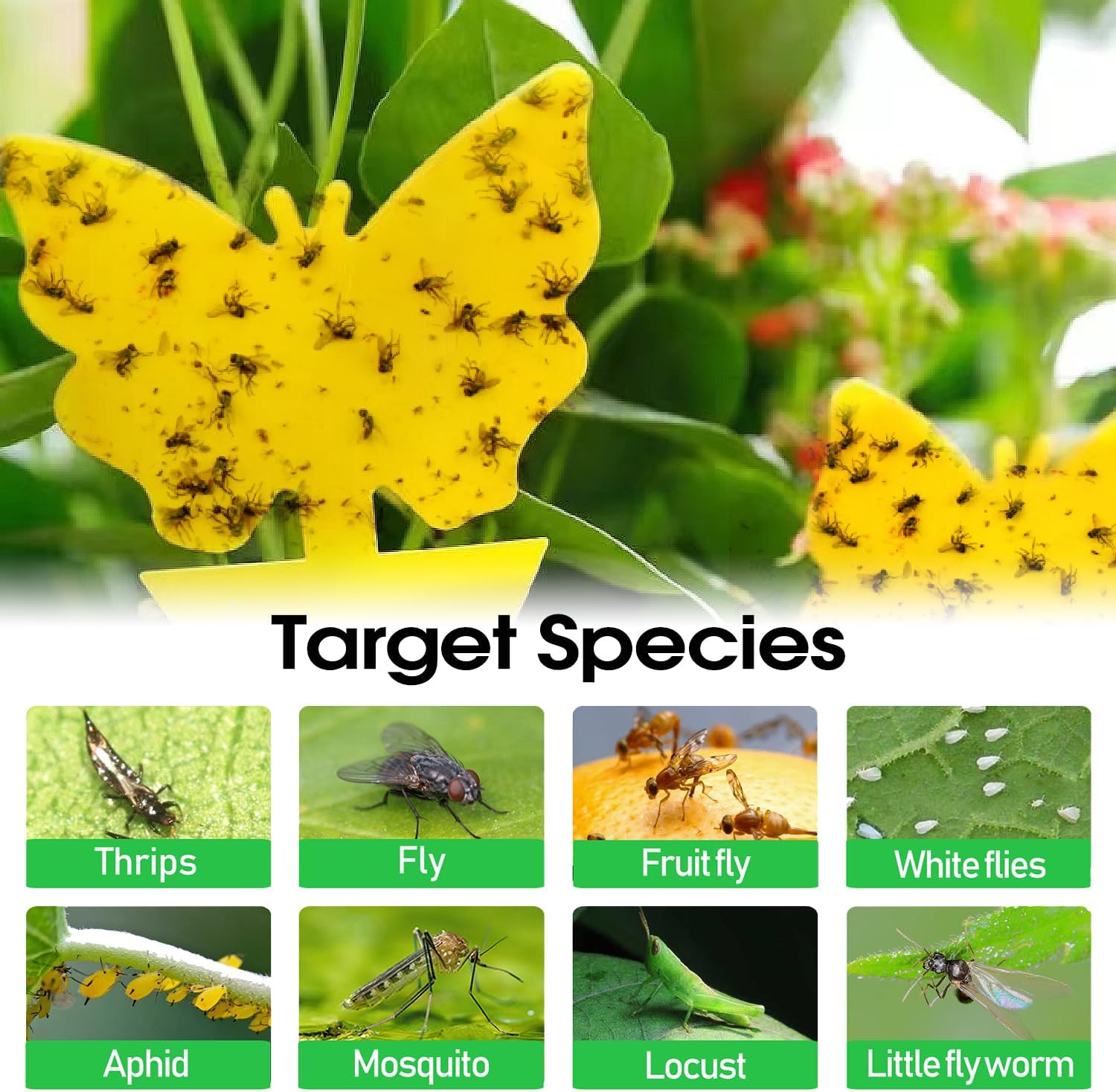 58 Pack Flying Insect Traps for TLants – Yellow Sticky Traps for Fungus Gnats, Flies & Flying Bugs, Indoor Outdoor Flying Bug Catcher for Pots, Garden & Kitchen, Kid & Pet Safe, Non-Toxic, Odorless