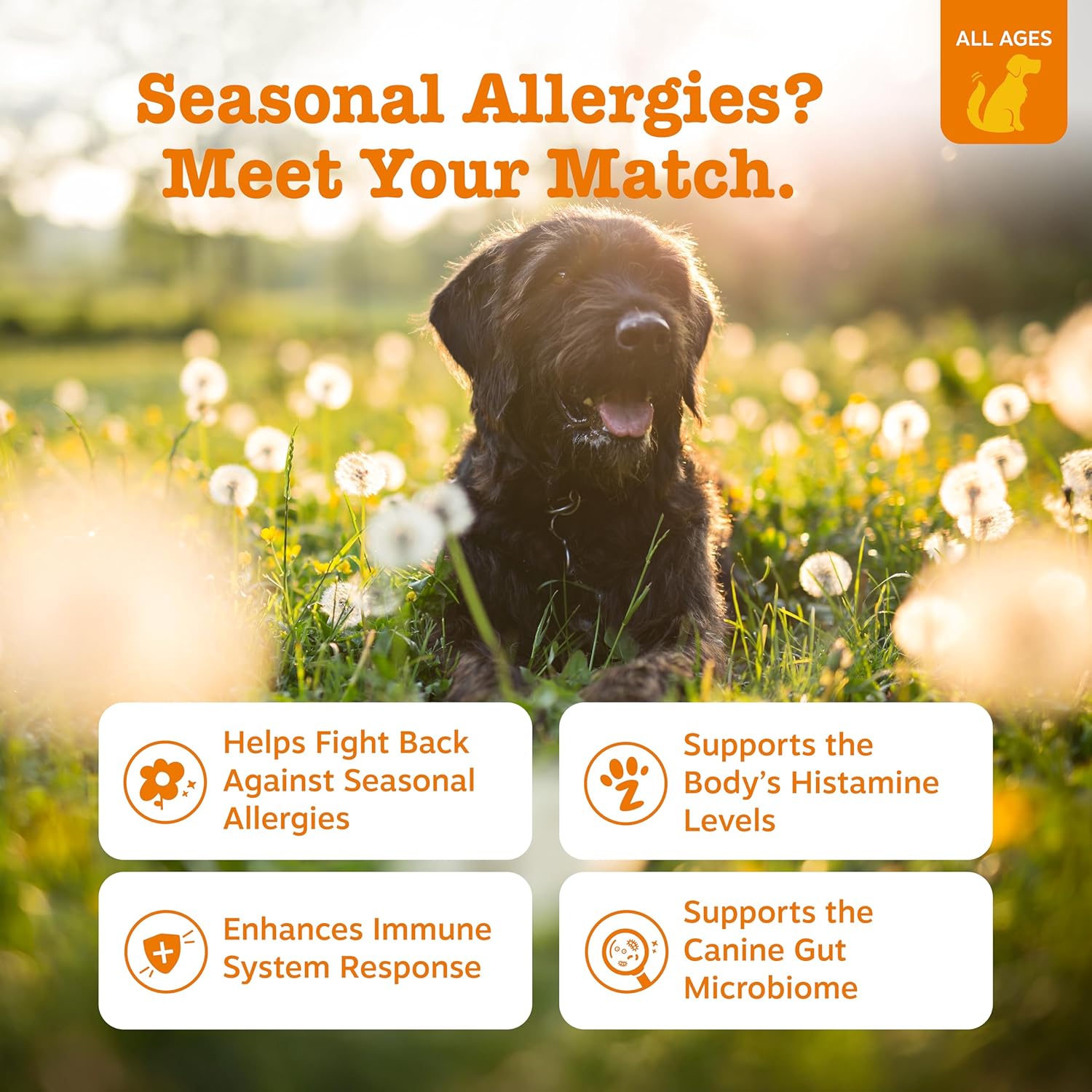 Zesty Paws Dog Allergy Relief Chews, Dog Probiotics for Itchy Skin and Ears, Lamb, 90ct