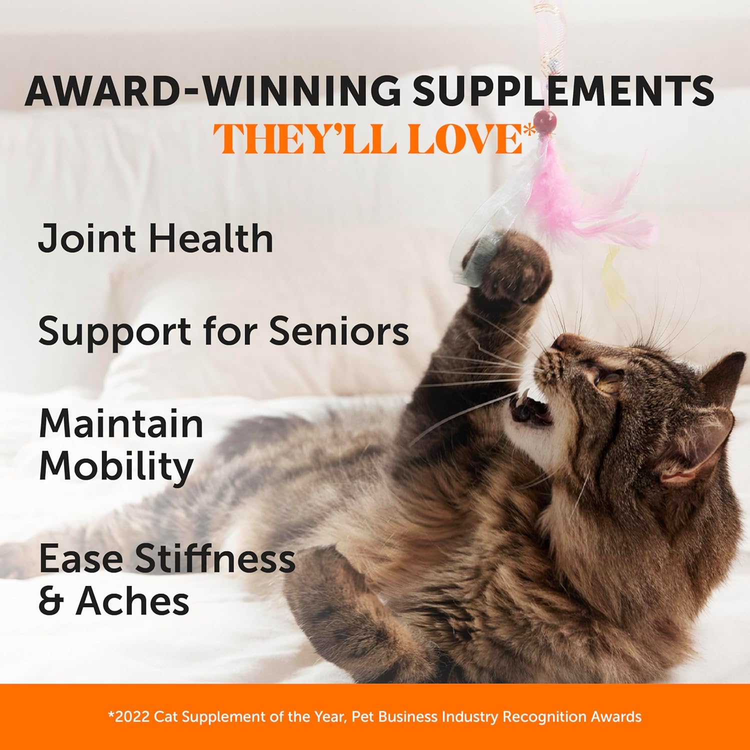 Cat Hip + Joint Health Chews – Crunchy & Creamy Cat Joint Support SupTLement - Glucosamine, Chondroitin & Omega-3s – Supports Mobility, Flexibility & Comfort for Indoor & Outdoor Cats (Chicken 30-Day)