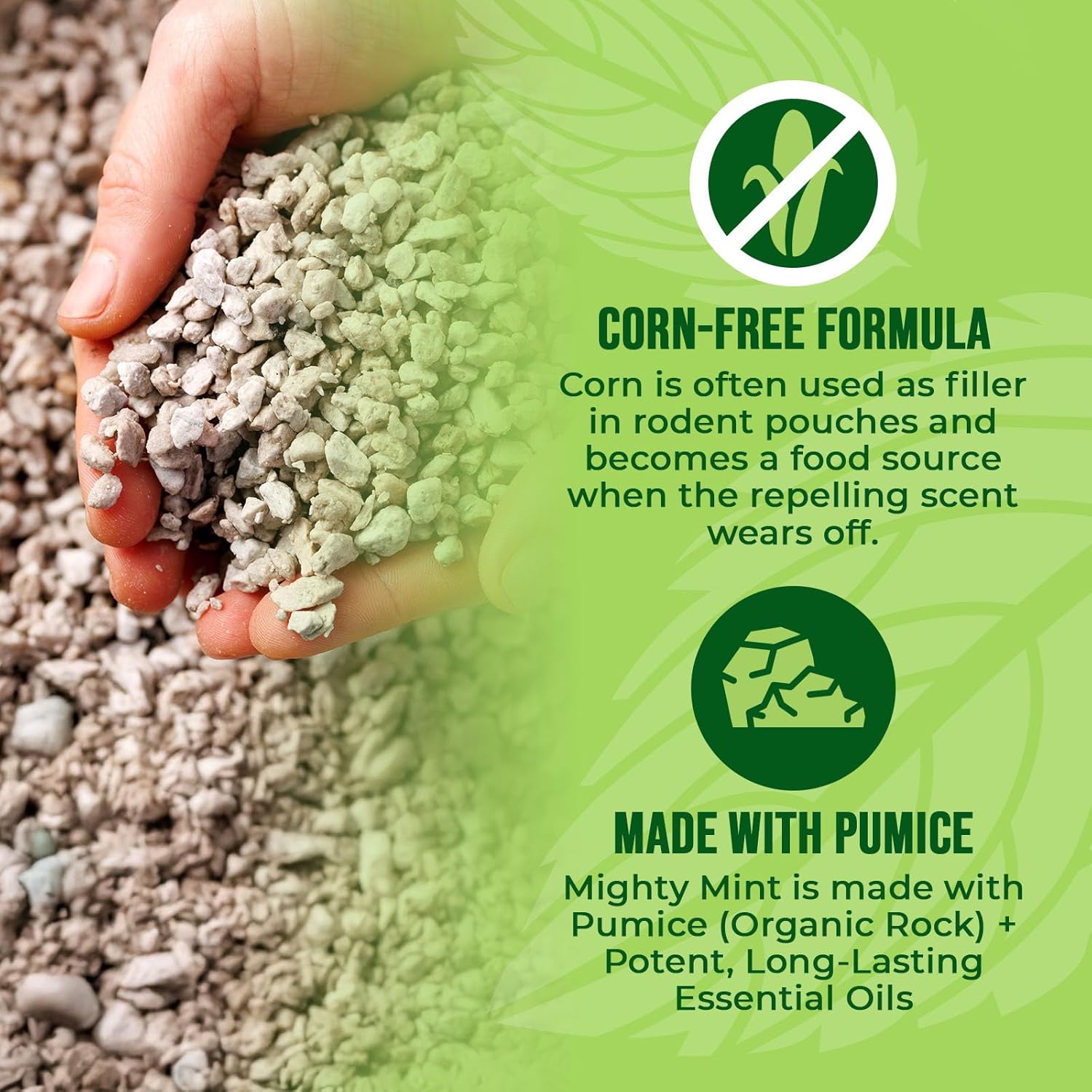 Mighty Mint Mouse Repellent Pouches – Peppermint, Castor Oil & Cinnamon Formula – Natural Indoor Deterrent for Mice and Rodents – TLant-Based, Long-Lasting Protection – 12 Count