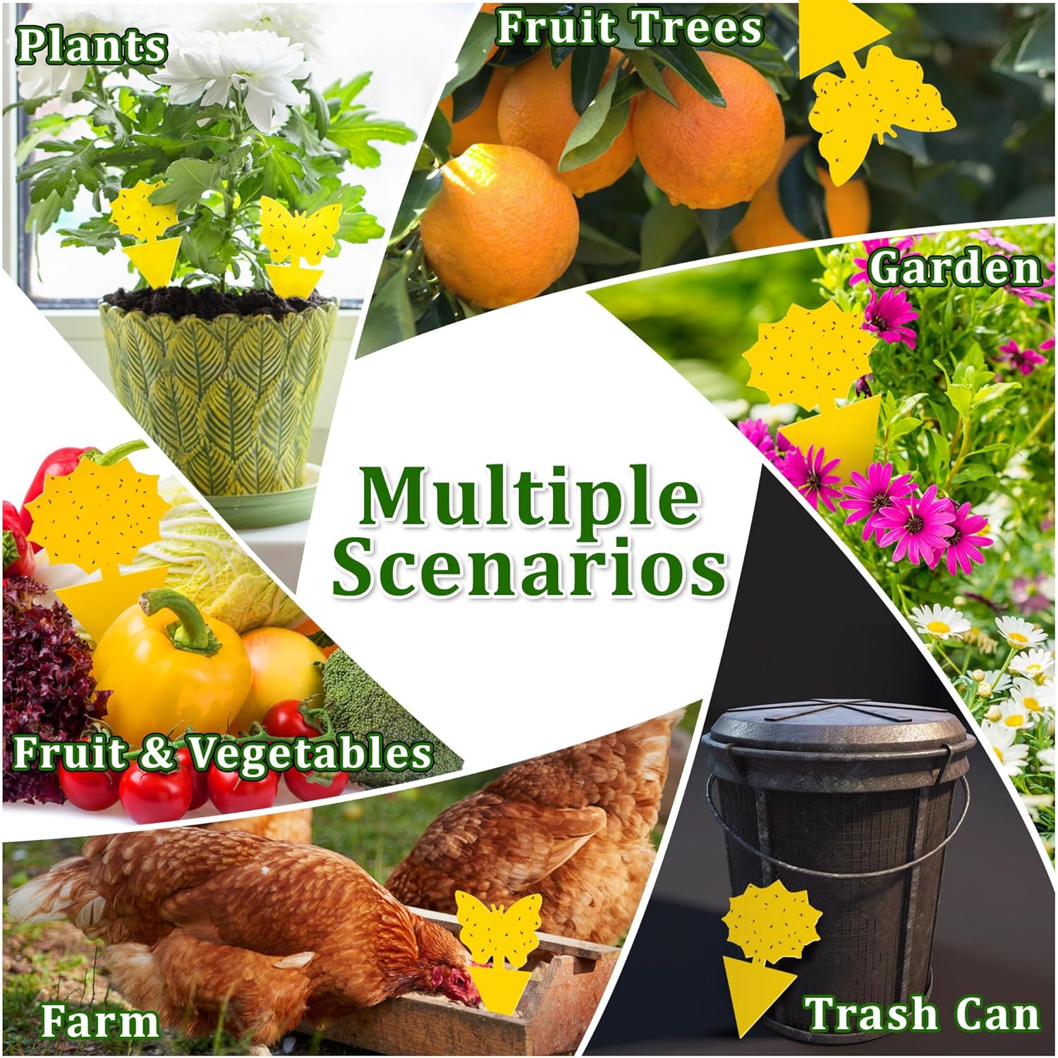 Fruit Fly Traps Indoor Fungus Gnat Trap 48PCS for TLants Yellow HouseTLants Outdoor Use Insect Sticky