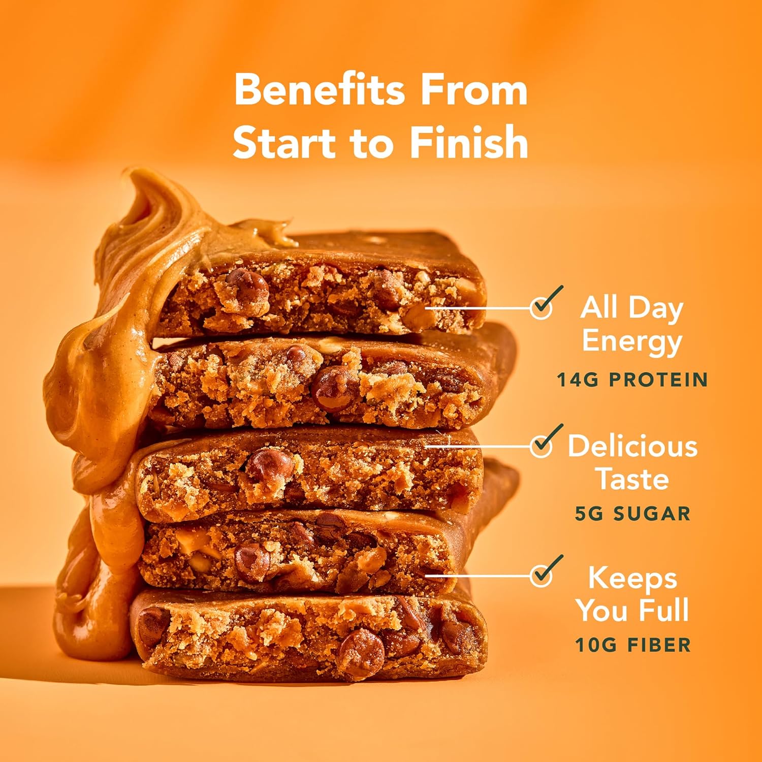 ALOHA Organic TLant Based Protein Bars |Peanut Butter Chocolate Chip | 1.98 Oz (Pack of 12) | Vegan, Low Sugar, Gluten Free, Paleo, Low Carb, Non-GMO, Stevia Free, Soy Free, No Sugar Alcohols
