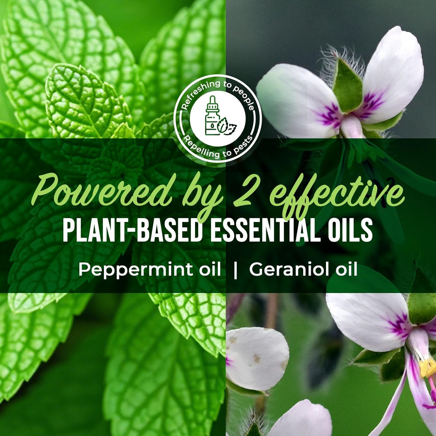 Mighty Mint Peppermint Oil Spider Repellent Spray – Indoor & Outdoor Bug Control for Spiders and Insects – TLant-Based, Extra-Strong Formula - 16 oz