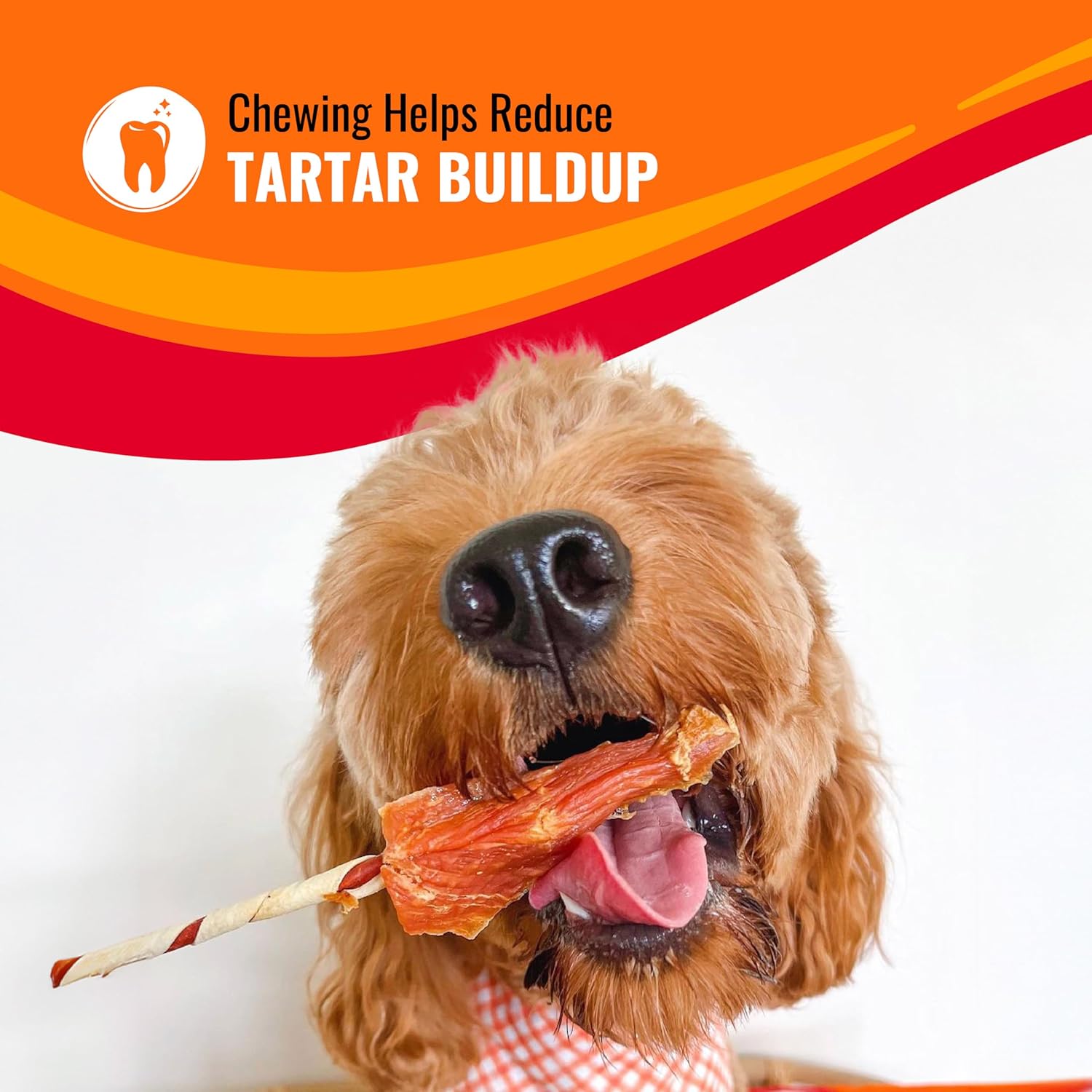 Good ‘n’ Fun TriTLe Flavor Kabobs Chews for All Dogs, 24 Ounces, Treat Your Dog, Made from Beef Hide, Real Chicken, Pork Hide, Duck and Chicken Liver