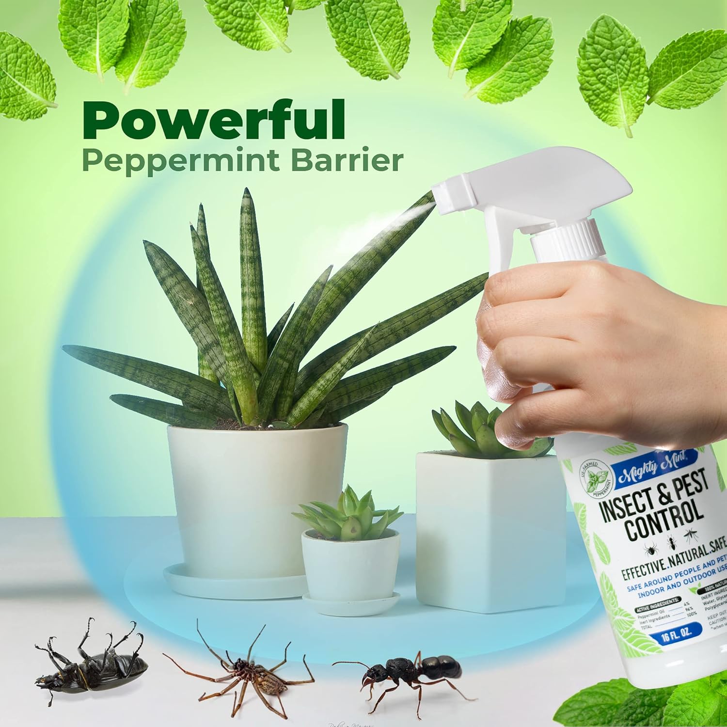 Mighty Mint Peppermint Oil Insect Repellent Spray – Natural Indoor & Outdoor Bug Control for Spiders, Ants, Roaches, and More – TLant-Based, Extra-Strong Formula - 16 oz