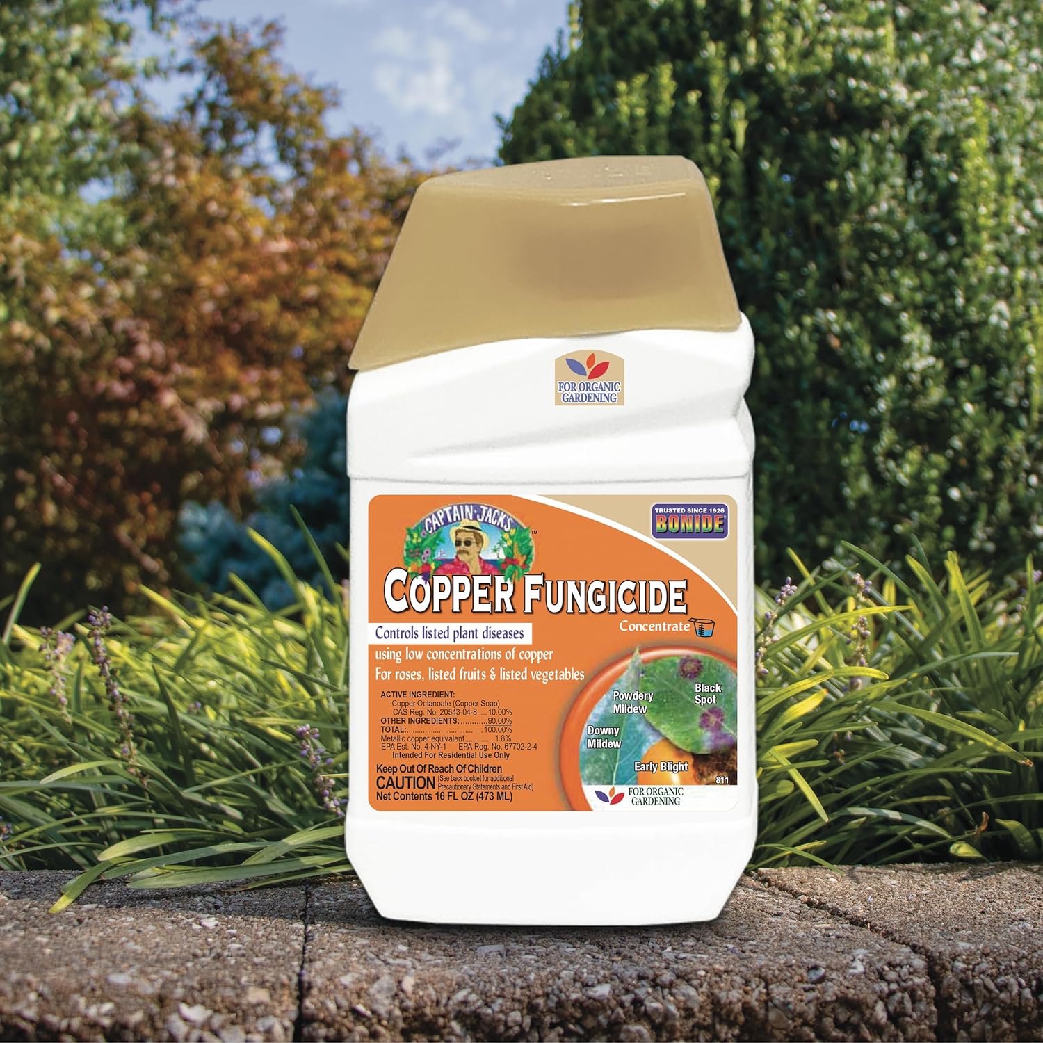 Bonide Captain Jack Copper Fungicide 16 oz Concentrated TLant Disease Control Solution for Organic Gardening